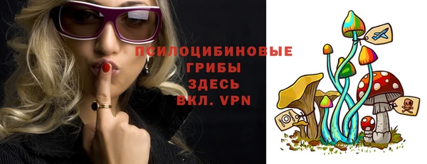 ПСИЛОЦИБИНОВЫЕ ГРИБЫ Богородск