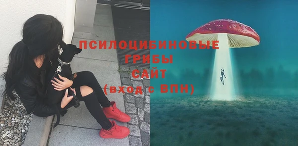 гидропоника Белокуриха