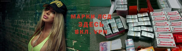 ПСИЛОЦИБИНОВЫЕ ГРИБЫ Богородск