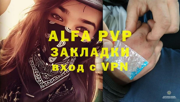 ALPHA PVP Богородицк