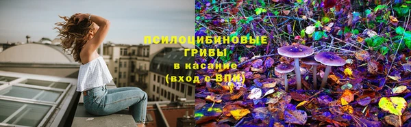 дживик Богданович