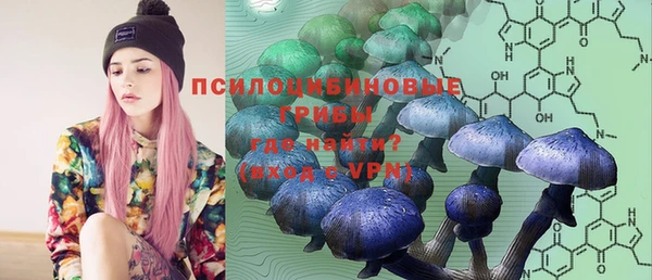 ГАЛЛЮЦИНОГЕННЫЕ ГРИБЫ Беломорск