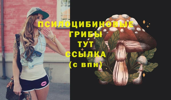 гидропоника Белокуриха